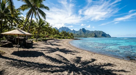 Plage tropicale de La Réunion sous un soleil intense avec zones d'ombre protectrices