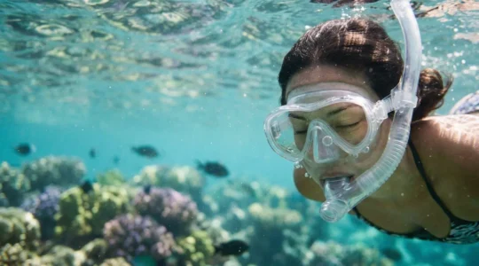 Snorkeler observant les coraux avec un masque parfaitement ajusté dans un lagon tropical
